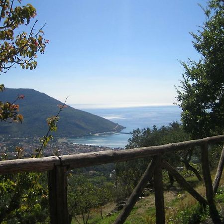 Casa Vacanze Cilento Torraca ภายนอก รูปภาพ